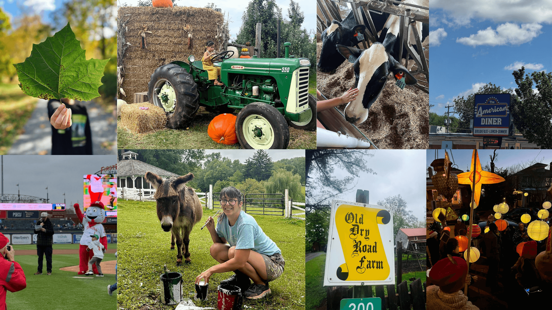 Berks In Focus Website